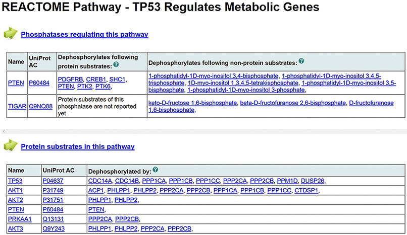 pathway mapping result in DEPOD