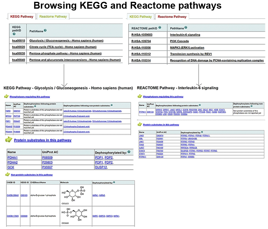 browse pathways