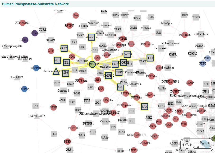 browse human phosphatase-substrate network